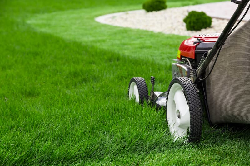 Lawn Mowing